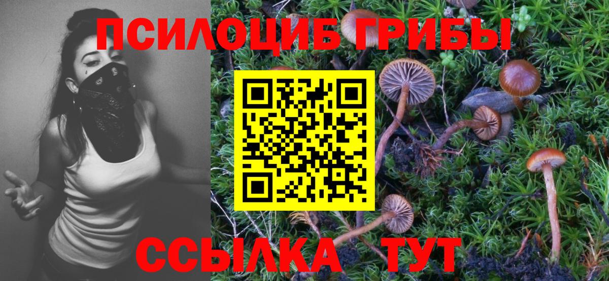 Галлюциногенные грибы ЛСД  Вход с VPN  Шарыпово 