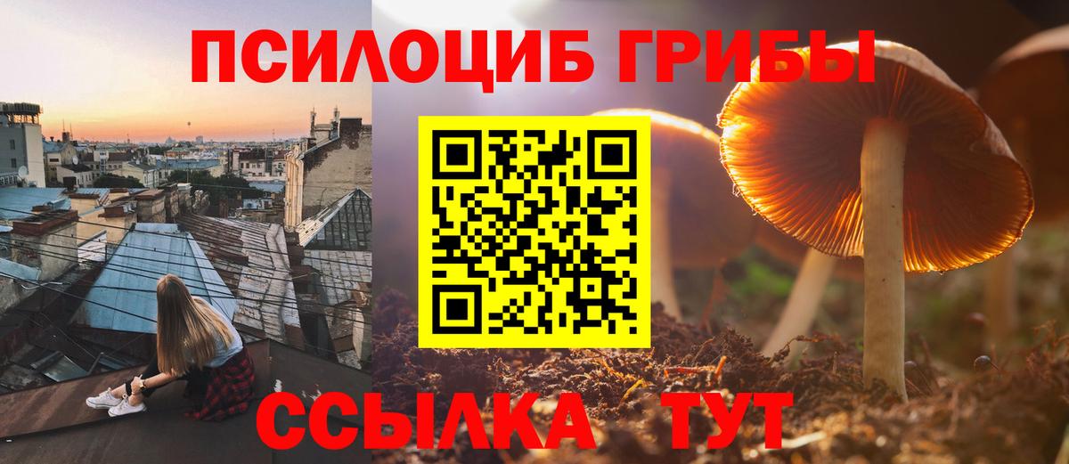 Галлюциногенные грибы Psilocybine cubensis Шарыпово